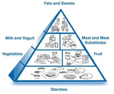 The Food Pyramid with 6 food goup sections.