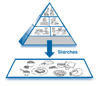 The Food Pyramid, with the starches section enlarged to show drawings of rice, potatoes, bread, crackers, tortillas, and other starches.