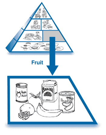 The Food Pyramid, with the fruit section enlarged to show drawings of fruit juice, an apple, a banana, canned fruit, and other fruit.