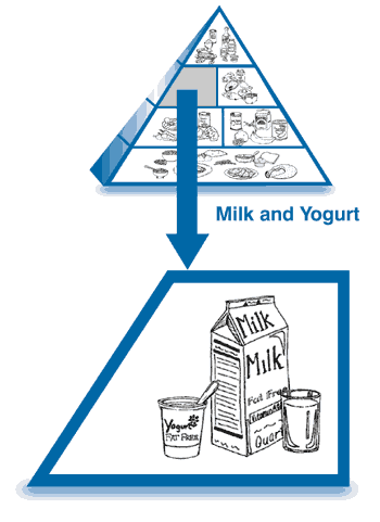 The Food Pyramid, with the milk and yogurt section enlarged to show drawings of a cup of milk, a carton of milk, and a cup of yogurt.
